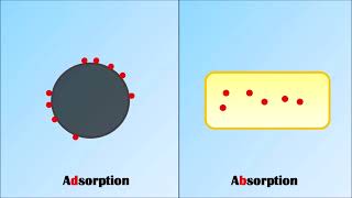 Difference Between Adsorption and Absorption  Absorption Vs Adsorption  Adsorption  Absorption [upl. by Eanahs]