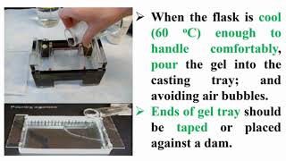 Preparation Agarose Gel Electrophoresis [upl. by Alegnasor]