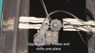 Soft Modular Robotic Cubes Toward Replicating Morphogenetic Movements of the Embryo [upl. by Yelsnik]