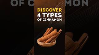 4 Different Types of Cinnamon cinnamon healthyfood facts [upl. by Hellah]