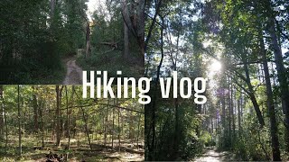 Hiking with Commentary  1hr  hiking vlog 🌲 [upl. by Nirrol]