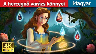 A hercegnő varázs könnyei  Princess’s Magic Tears in Hungarian  HungarianFairyTales [upl. by Borroff]