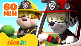 PAW Patrol  PAW Patrol NEUE FOLGEN Compilation  1 Stunde  Nick Jr  Nick Jr Deutschland [upl. by Ahkihs]