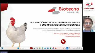 INFLAMACIÓN INTESTINAL  RESPUESTA INMUNE Y SUS IMPLICACIONES NUTRICIONALES [upl. by Garek]