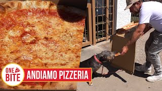 Barstool Pizza Review  Andiamo Pizzeria Scottsdale AZ [upl. by Carling532]