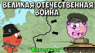 Операция quotБагратионquot Великая отечественная война Часть 5 Смешарики [upl. by Countess484]