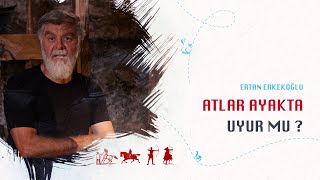 Atlar Ayakta Uyur Mu   Ertan Erkekoğlu [upl. by Colt221]