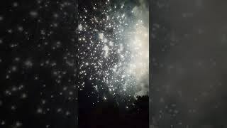 Firework PERFECT 2024 33 in 4K shorts viral fireworks [upl. by Kurth]