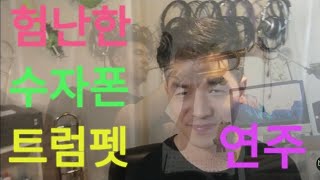 Musicians Life Episode 06 수자폰트럼펫 험난한 듀얼 연주amp연습 [upl. by Dett823]