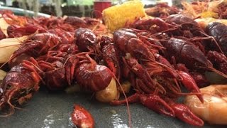 How to quotBOIL CRAWFISHquot Louisiana Style [upl. by Notnef]