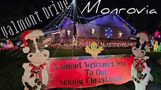 Valmont Drive Christmas Lights in Monrovia California [upl. by Naiditch128]