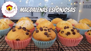 Como hacer Magdalenas deliciosas con pocos ingredientes RECETA PRINCIPIANTES [upl. by Maiocco]