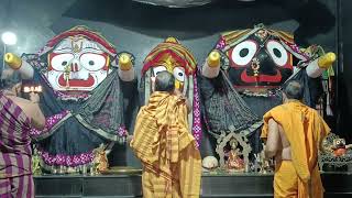 Shri Jagannath Mangal Arati Darshan 🙏  24Nov2024 jagannathaarti [upl. by Wanyen537]