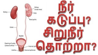 TamilTamil NattuTamil Nattu MaruthuvamTamil Siddha MaruthuvamTamil Natural MedicineSiddha [upl. by Eeltrebor292]