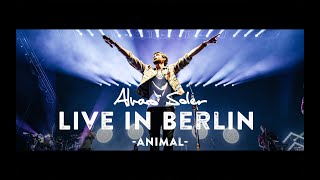 Alvaro Soler  Animal Live in Berlin [upl. by Buehrer]