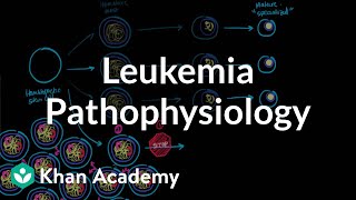 Leukemia pathophysiology  Hematologic System Diseases  NCLEXRN  Khan Academy [upl. by Amandie]