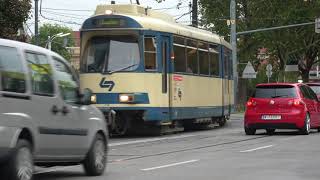 Die Badner Bahn auf der Eichenstraße [upl. by Nosral]