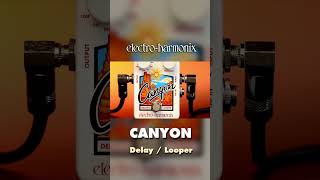 EHX Canyon Delay Pedal Demo [upl. by Samoht]