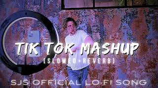 tik tok mashup  Slowed reverb  sjs official lofi song bollywood tiktok tiktokviral trending🎧 [upl. by Aerdnahc]