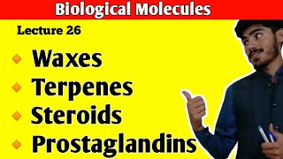 Waxes  Terpenes  Steroids  Cholesterol  Prostaglandins  Lipids Class 11  Class 11 Biology [upl. by Florin758]