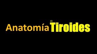 SERIE GLÁNDULA TIROIDES  Anatomía de Tiroides [upl. by Siloum]