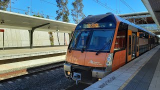 Train Travel Series Video 9 Leppington to Central via Granville [upl. by Dumm]