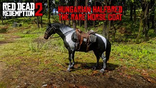 How to Obiant The Most Rare Beautiful Horse Coat  Hungarian Halfbred  Early  RDR2 [upl. by Ateekahs]