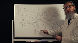 The Unintelligible Professors Lecture  ASMR [upl. by Uri426]