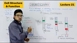 Chromatography and its types  Paper and Column Chromatography  Video 21 [upl. by Heintz]