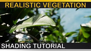 VRay  REALISTIC LEAVES  VEGETATION  Updated Translucency Workflow Explained [upl. by Arria678]