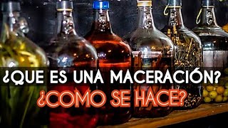 TODO SOBRE MACERADOS🌾🌿🍊🍍 DEFINICIÓN TIPOS DE MACERACIÓN bartender cocktails pisco cocktail [upl. by Antonia]