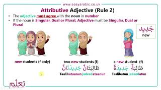 Beginners Arabic  Lesson 18  Adjective Noun Phrases [upl. by Adnir]