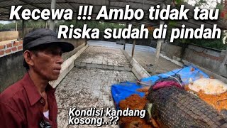 BUAYA RISKA KEMBALI DIPINDAHKANLEBIH JAUH KE ZOOAMBO KECEWA TIDAK DIBERITAHU PEMINDAHAN RISKA [upl. by Nattie250]