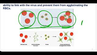 Medical Microbiology Follow Virology lec3 [upl. by Ordep]