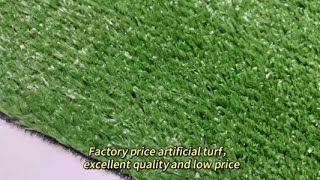 Looking for the perfect lowmaintenance lawn [upl. by Dnana]