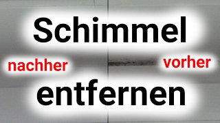 Schimmel entfernen einfach gemacht [upl. by Assiar]