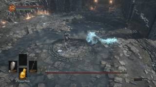 Dark Souls 3  Iudex Gundyr vs Giant Crystal Lizard [upl. by Bobker316]