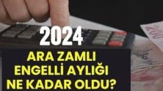 ENGELLİ AYLIĞI EVDE BAKIM MAAŞI YAŞLI AYLIĞI 2024 TEMMUZ ZAMMI [upl. by Leunamne403]