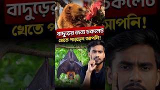 চকলেট খেতে ভালোবাসেন🍫 [upl. by Aihsek]