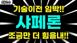 샤페론 주가전망 기술이전 임박 조금만 더 힘을내 [upl. by Mavis]