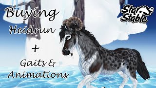 Buying Heidrun  Gaits amp Animations  Star Stable Online [upl. by Oleg]