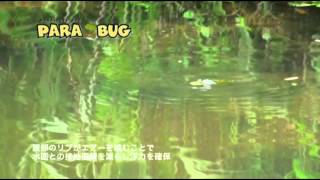 MEGABASS MOVIE 073 PARA BUG [upl. by Dlabihcra888]