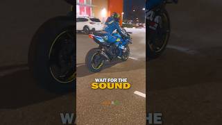 Will You Survive the EarSplitting Roar of the GSXR1000R [upl. by Durtschi142]