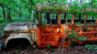 Woods full of Vintage Abandoned Buses [upl. by Otrebtuc]