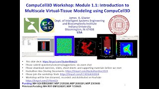 CC3D WS 11 Introduction to CompuCell3D and Virtual Tissues James Glazier July 29 2024 [upl. by Ettelrats813]