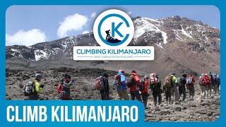 Climbing Mount Kilimanjaro Experience [upl. by Halullat]