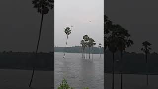 Kampalathara dam Palakkad [upl. by Jarrad]