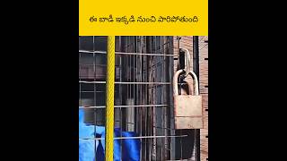 E bird andharni kapaduthundhi facts telugu amazingfacts [upl. by Nathan143]