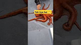 Dekh liya rate Octobershorts octopus fishing seafood squid lobster ocean food comedy [upl. by Gudren16]