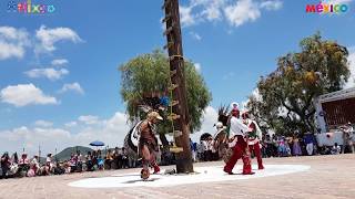 Atlixcayotontli  Danza de los Voladores [upl. by Ahsinwad268]